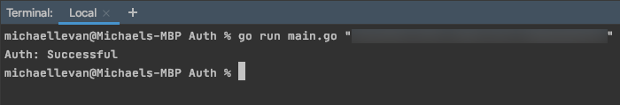 Terminal output showing authentication was successful