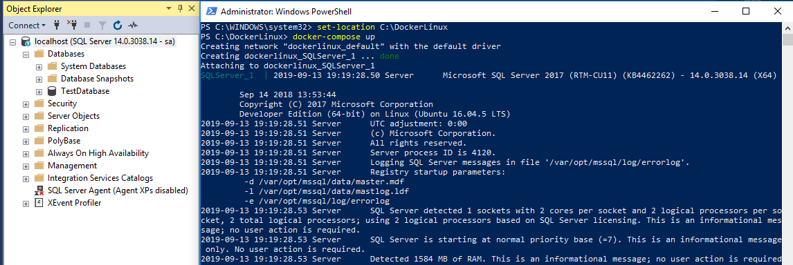 Docker linux docker compose sql server