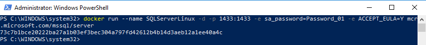 Docker run linux image