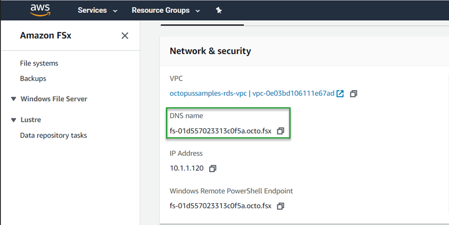 Aws fsx dns