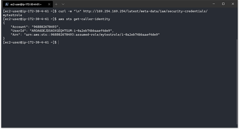 Terminal output
