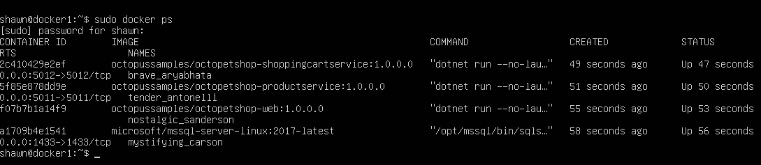 Server docker containers