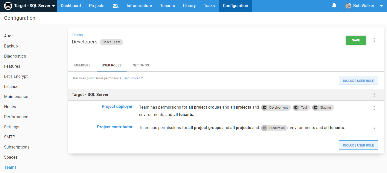 Developer team permissions