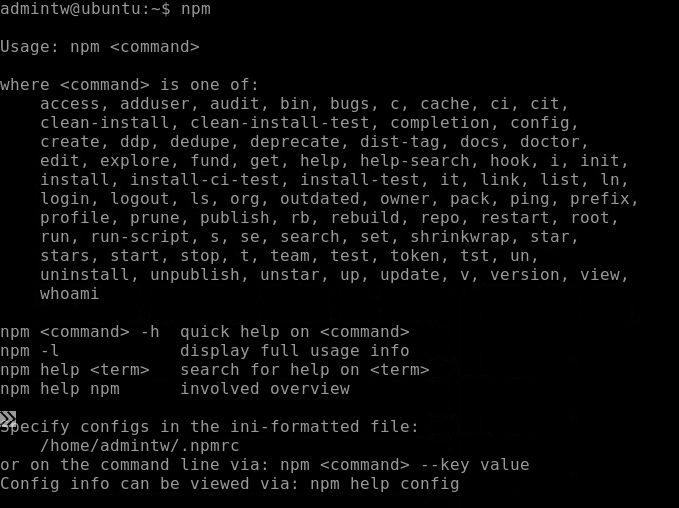 npm command