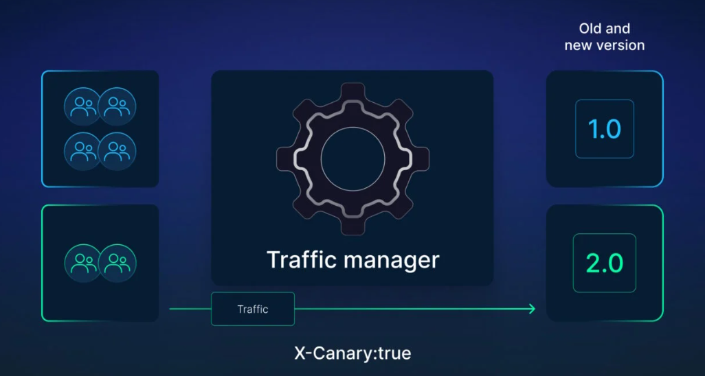 Traffic manager diagram
