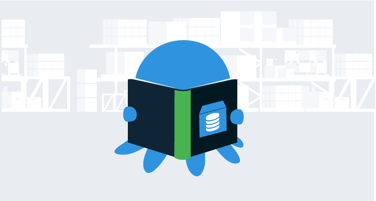 Database Feature Branch Deployments