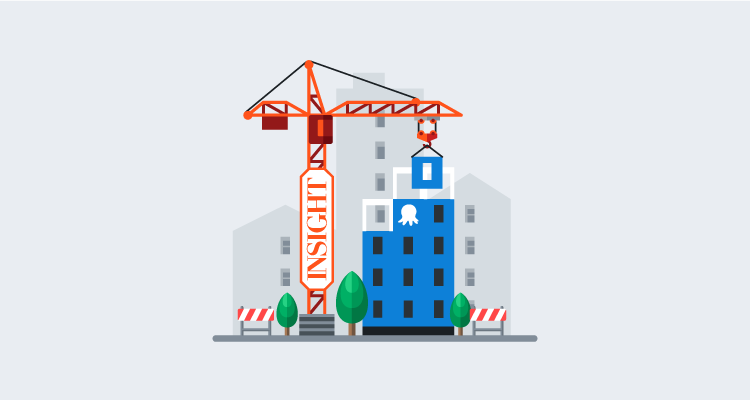 Insight Partners and Octopus Deploy