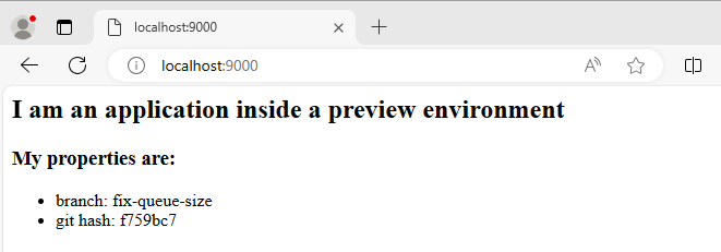 Preview app parameters