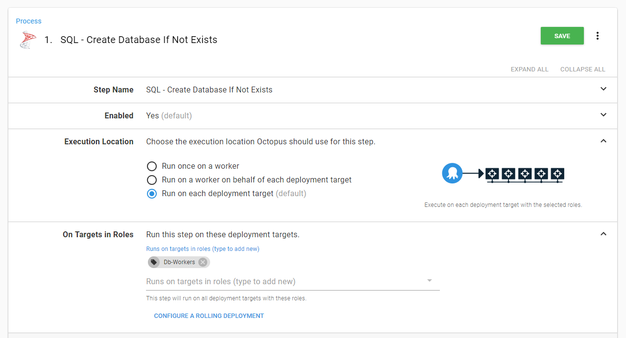 Octopusdeploy executionlocation
