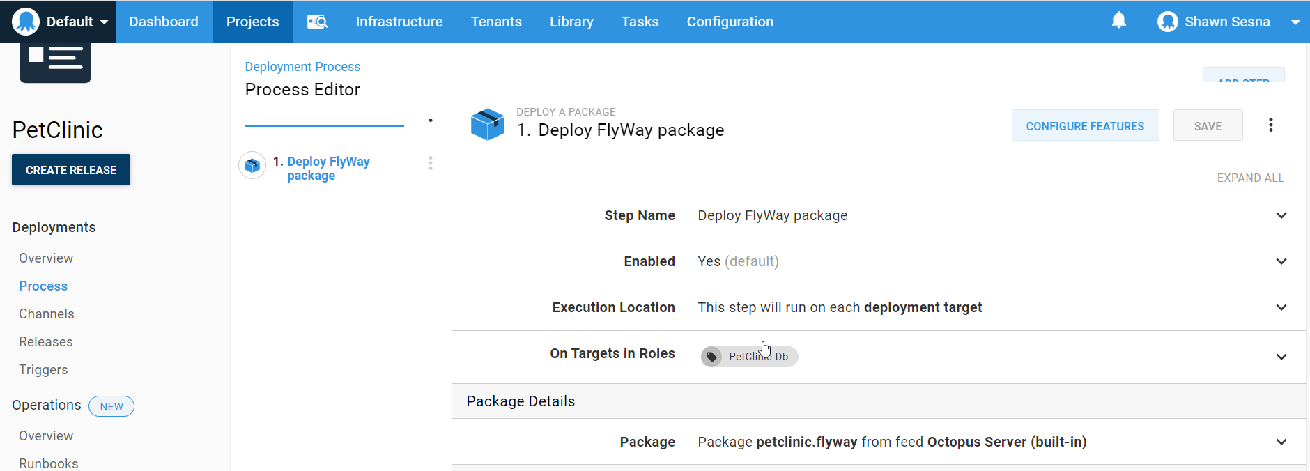 Octopus flyway package step