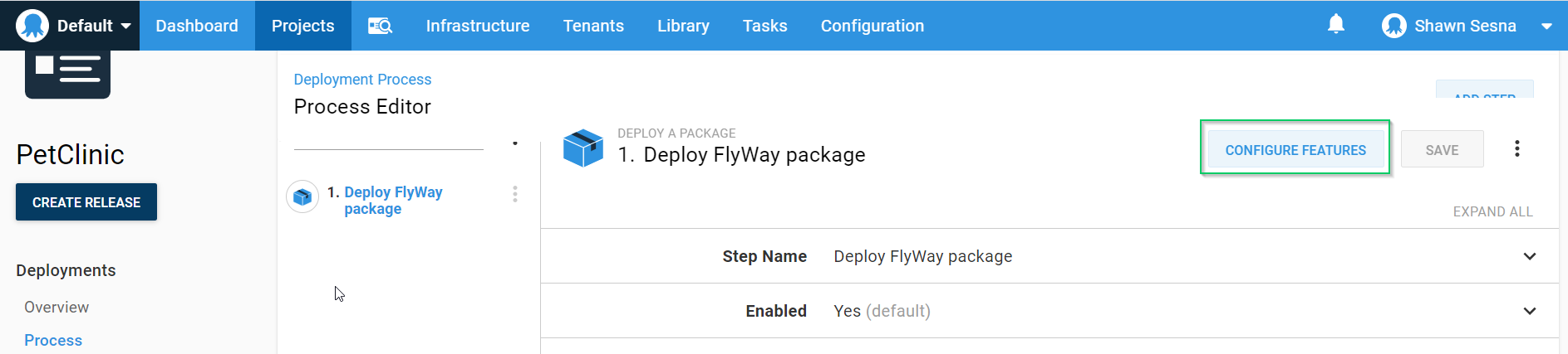 Octopus project step configure features
