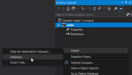 Visual studio import database
