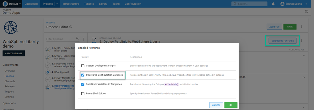 Octopus structured configuration variables