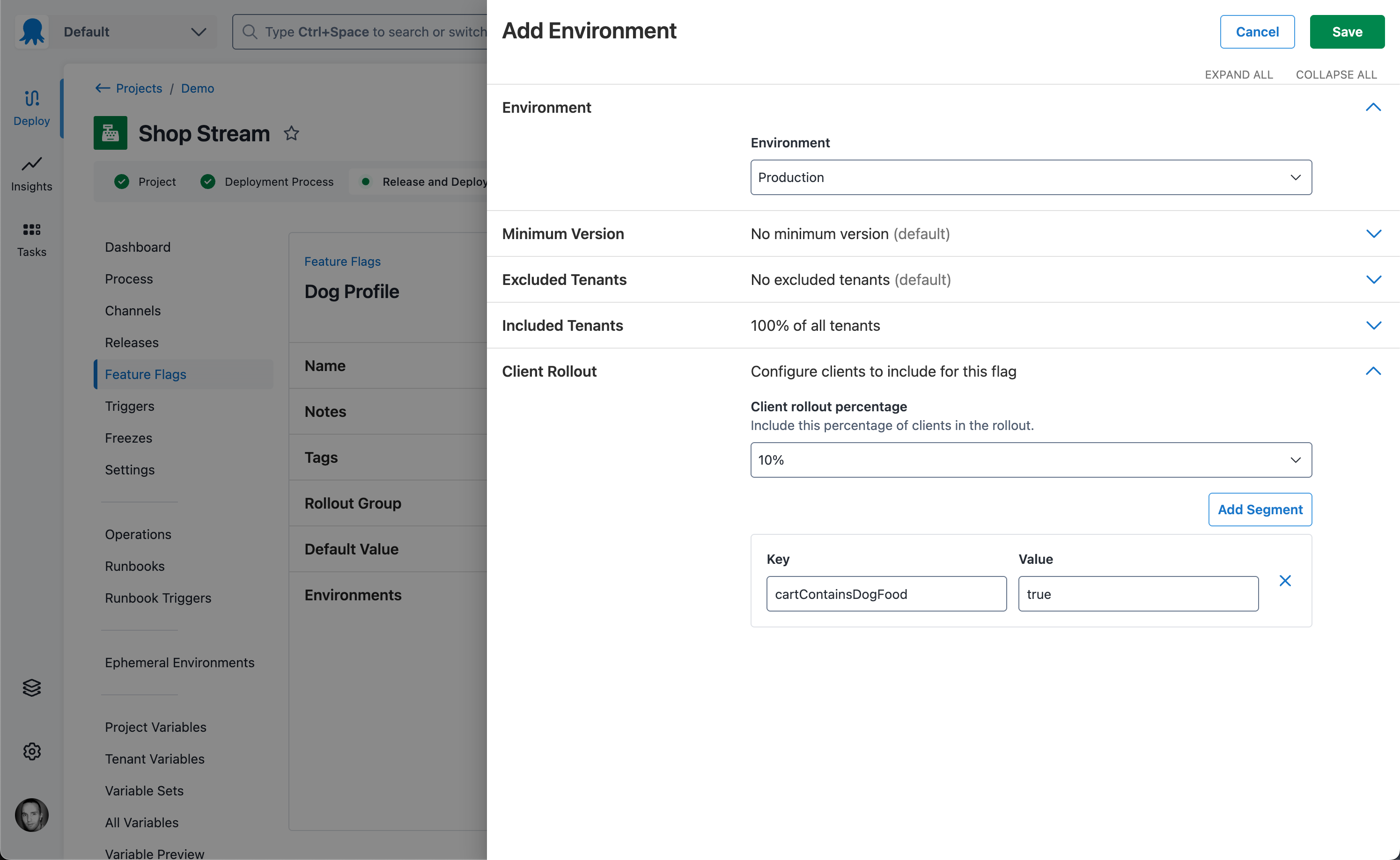 The client rollout configuration for a feature flag, with a rollout percentage and key/value segments