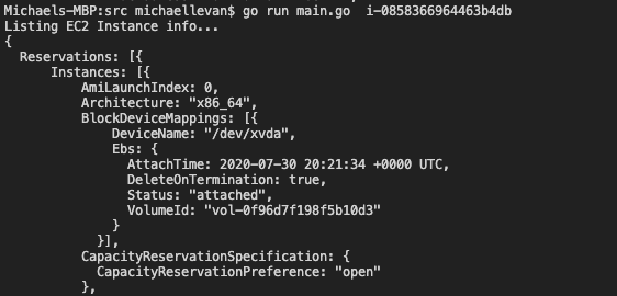 Terminal output