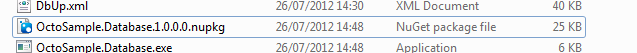 NuGet package