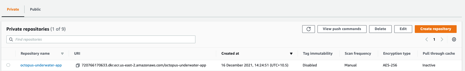 ECR Repository