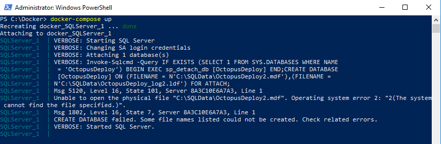 Docker start sql server missing database