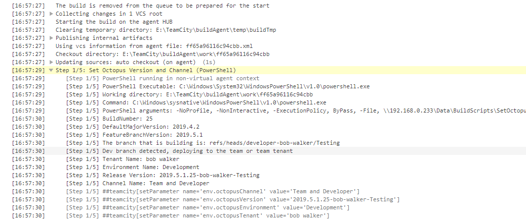 Teamcity script log