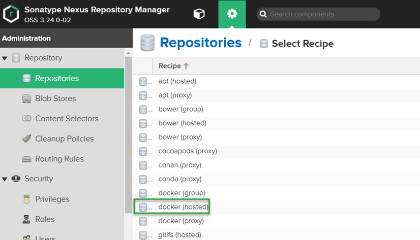 Nexus docker hosted