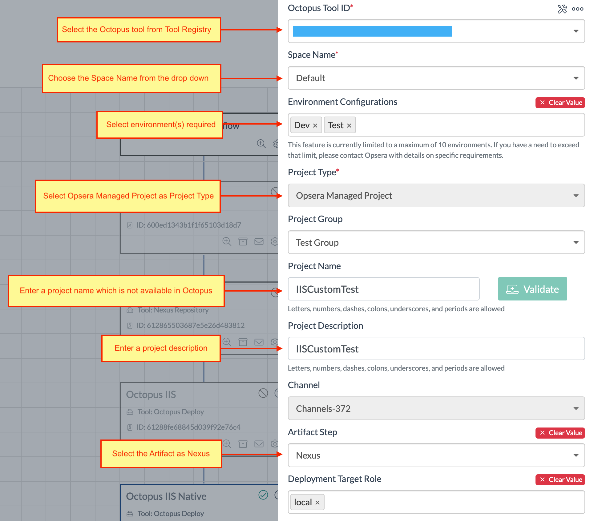 Octopus integration settings