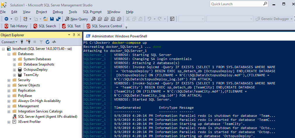 Docker compose ssms sucess