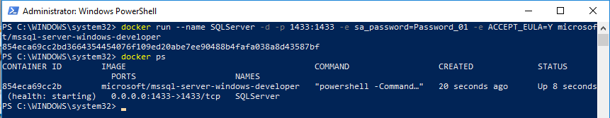 Docker run sql server developer