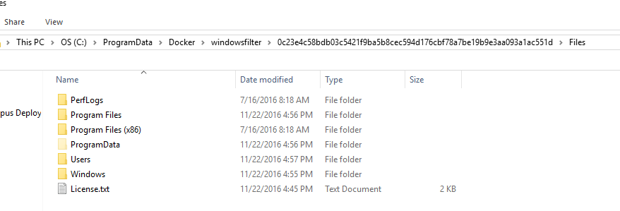 Extracted docker files windows