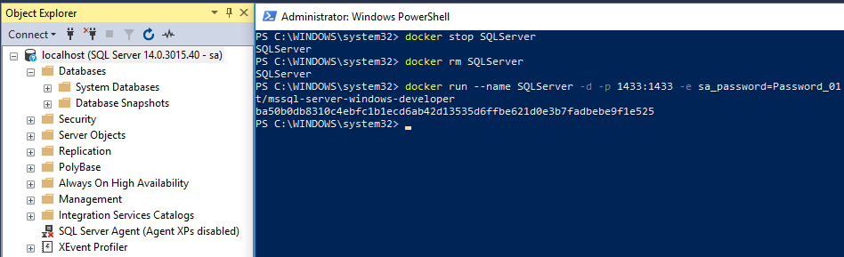 Restart container no new databases