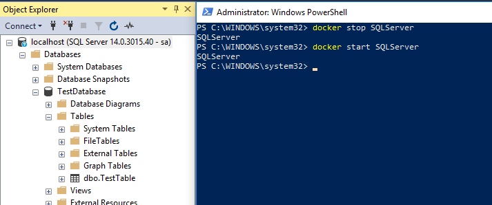 Test database after restart only