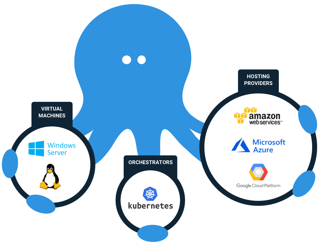 Octopus Diagram