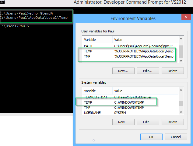 Screenshot of environment variables