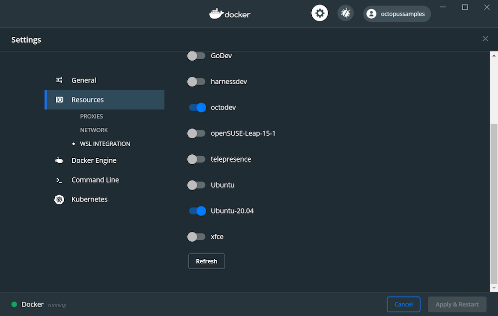 Wsl2 instances