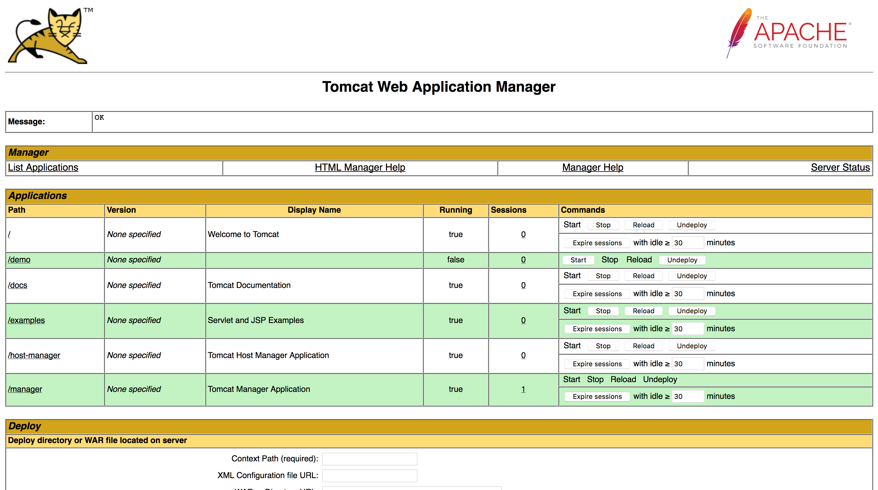 Tomcat manager