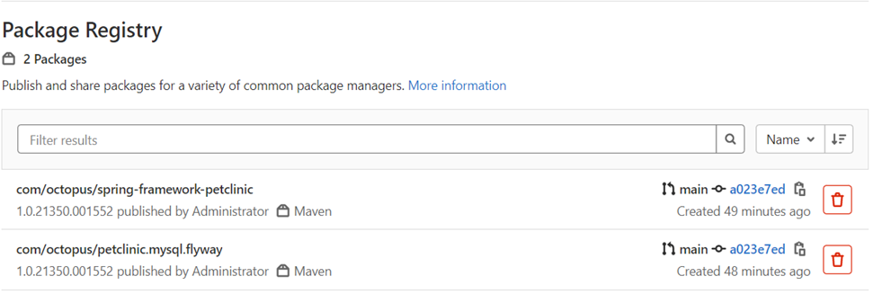 package registry showing 2 packages