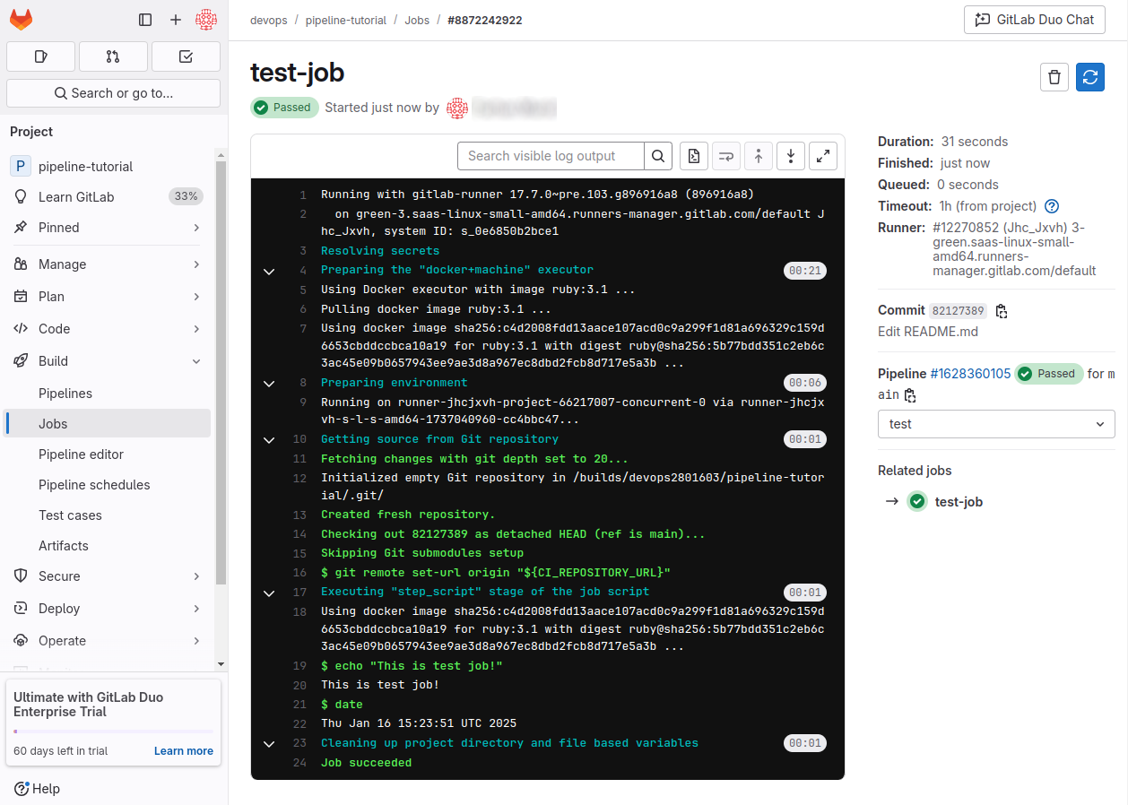 Test job in the GitLab UI