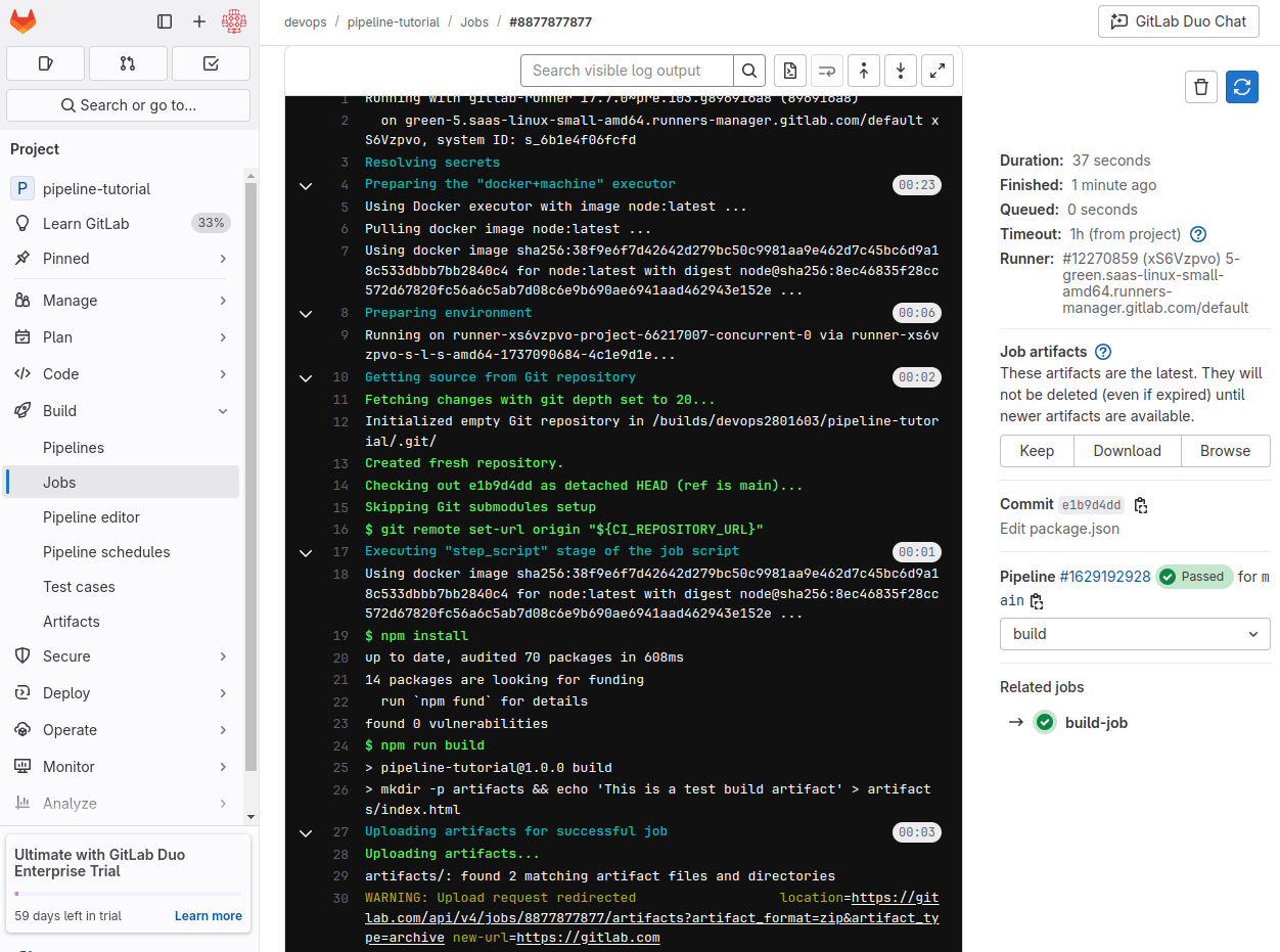 Test job in the GitLab UI