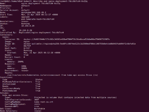 kubectl describe pod resource limits