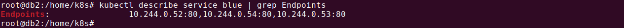 Checking the blue service endpoints