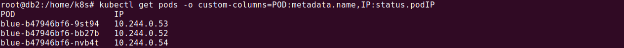 Listing pod IP addresses