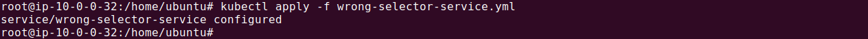 kubectl apply correct-selector-service output
