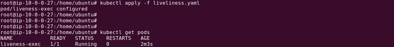 Kubernetes liveness command output