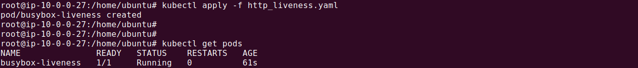Kubernetes liveness HTTP request output