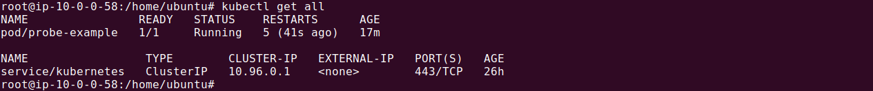 kubectl get all output showing liveness probe pod