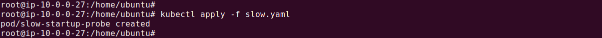 Kubernetes startup probe output