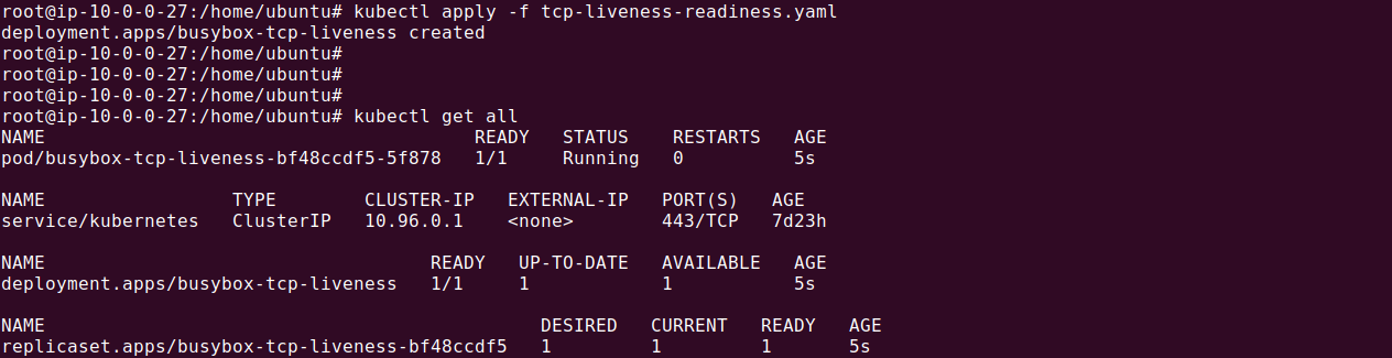 Kubernetes TCP liveness probe output