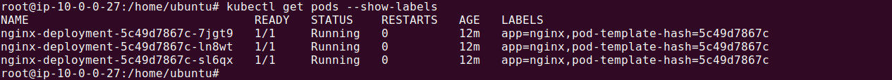 Result of the Kubernetes get pods with labels command