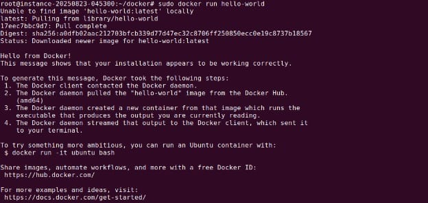 Running the hello-world test container