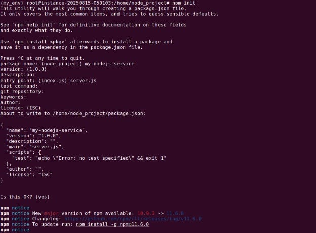 Initializing the npm project