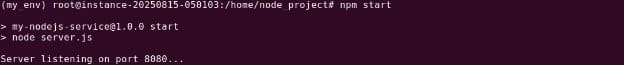 Running the app locally